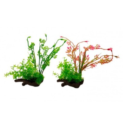 ΔΙΑΚΟΣΜΗΤΙΚΟ ΦΥΤΟ ΕΝΥΔΡΕΙΟΥ 12Χ24CM